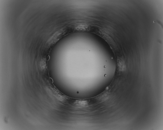X0000103480665200809121651