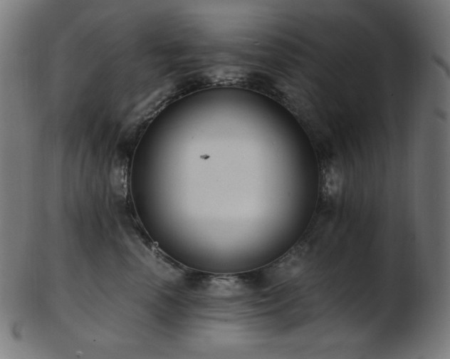 X0000103480666200809121651