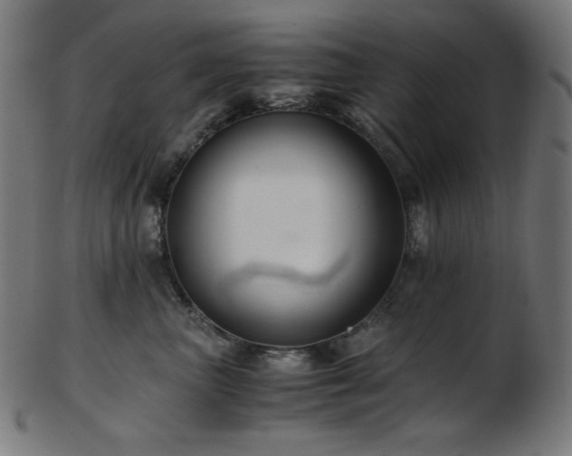 X0000103480667200809121651