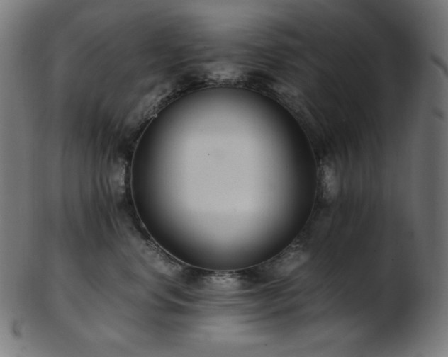X0000103480668200809121651