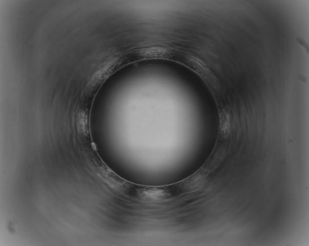 X0000103480669200809121651