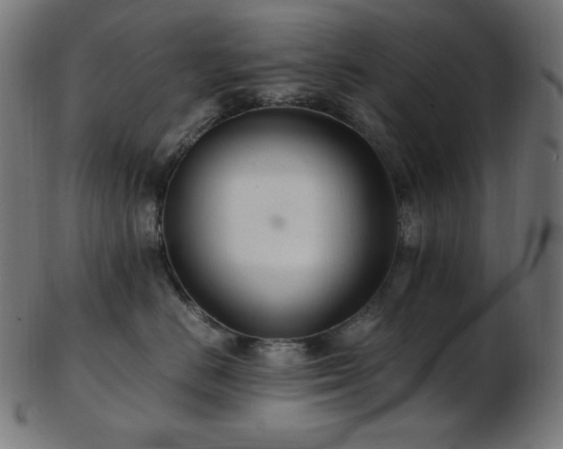 X0000103480670200809121651