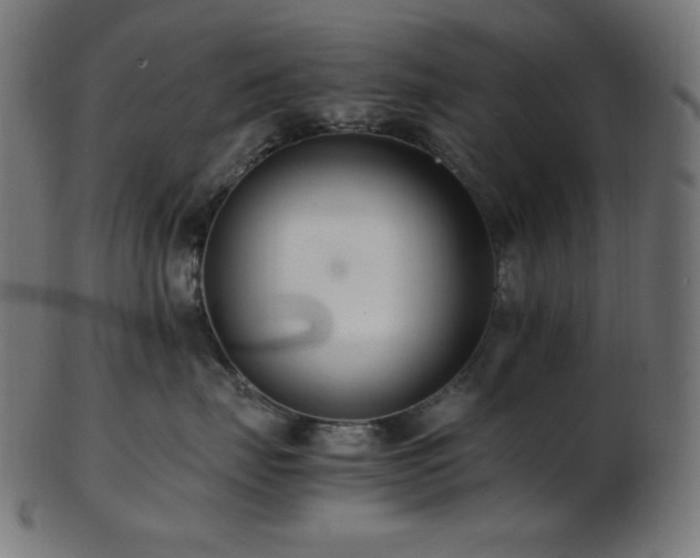 X0000103480671200809121651