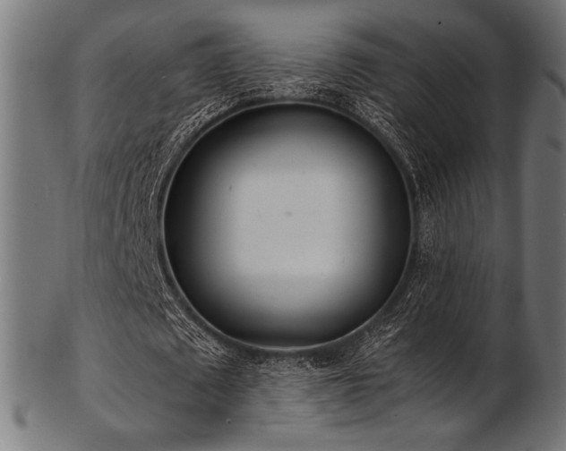 X0000103480673200809121650