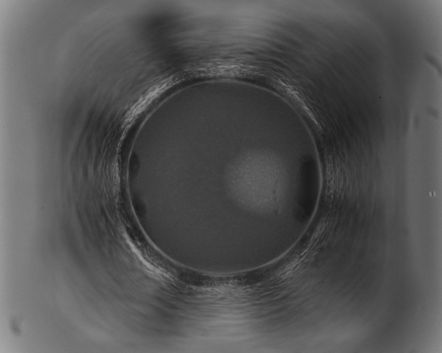 X0000103480674200809121650