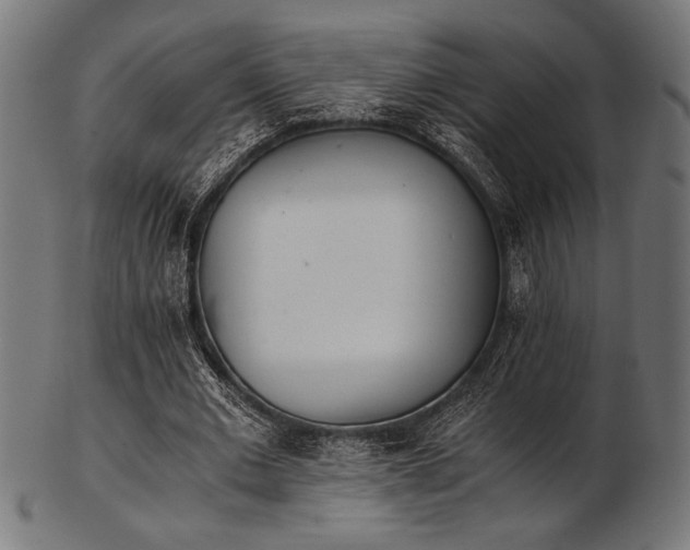 X0000103480677200809121650