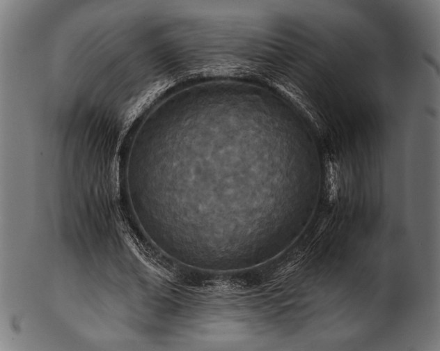 X0000103480678200809121650