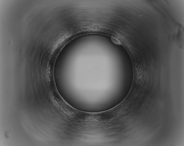 X0000103480680200809121650