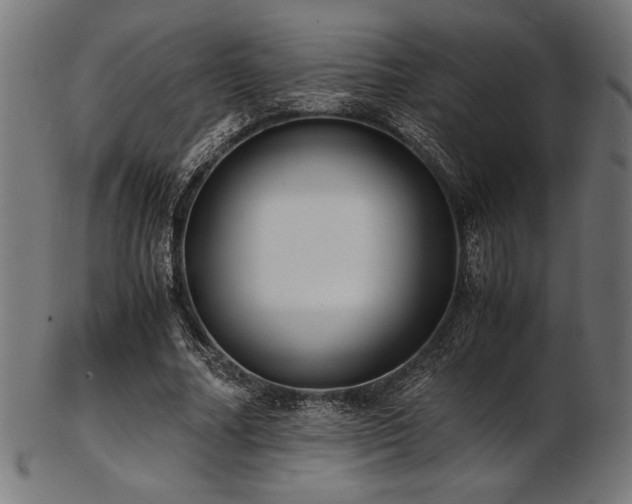 X0000103480682200809121650