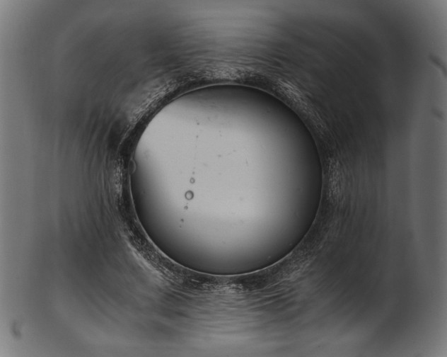 X0000103480683200809121650