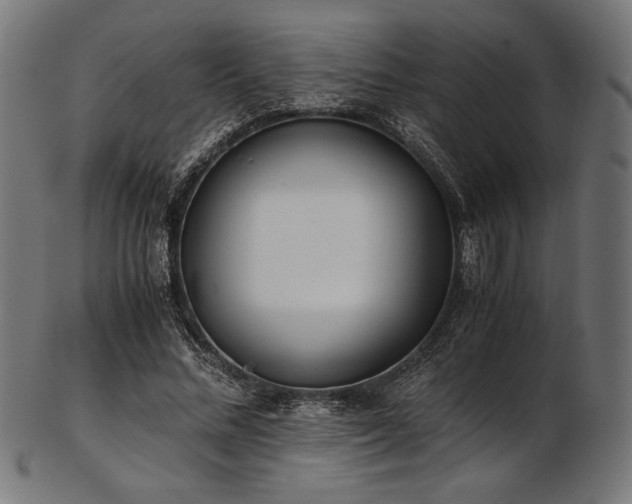 X0000103480684200809121650