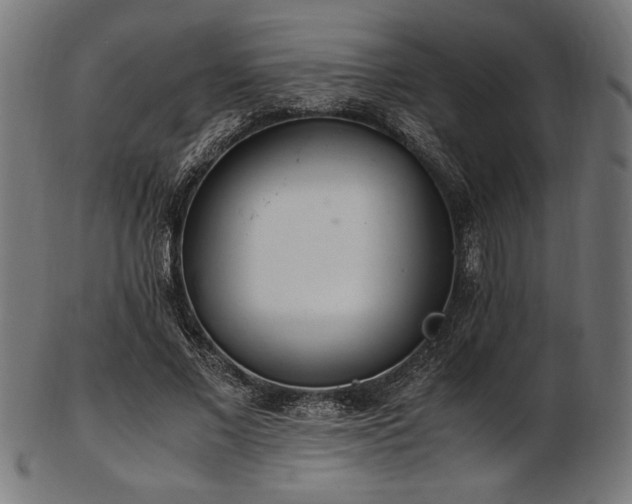 X0000103480685200809121650