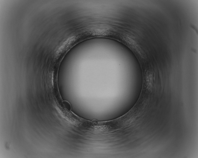 X0000103480686200809121650