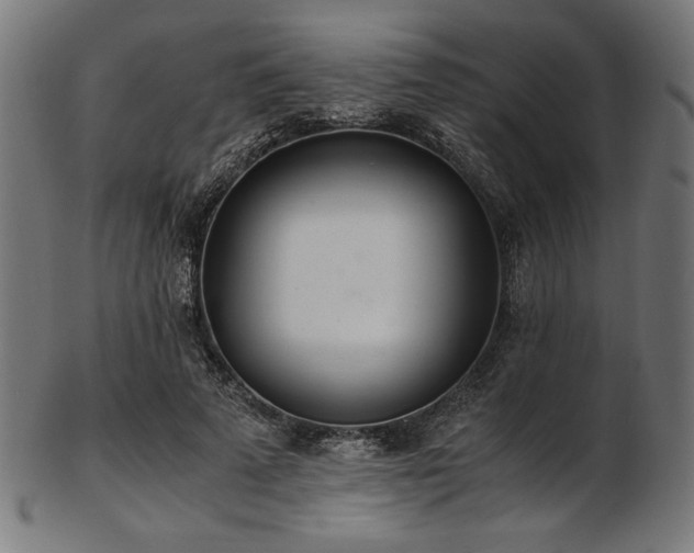 X0000103480689200809121650