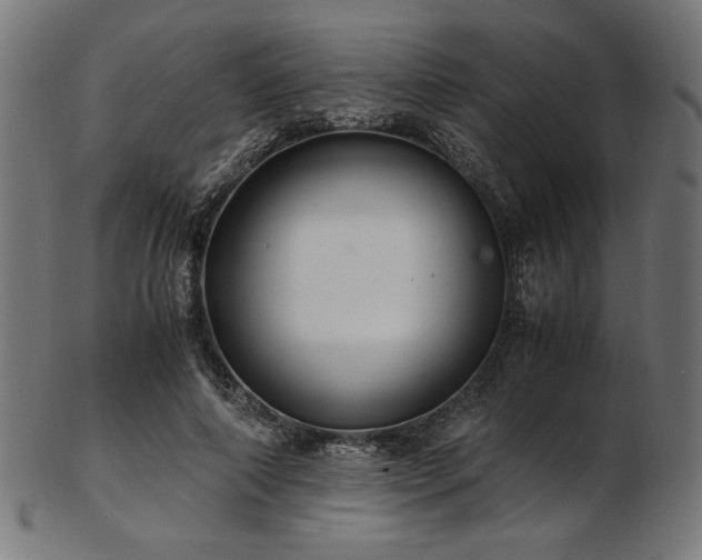 X0000103480690200809121650
