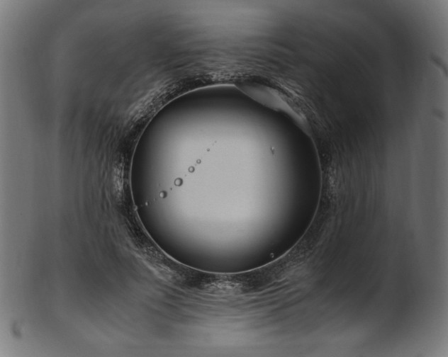 X0000103480691200809121650