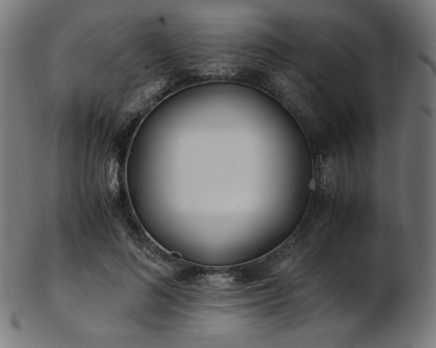 X0000103480692200809121650