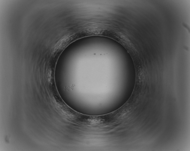 X0000103480693200809121650