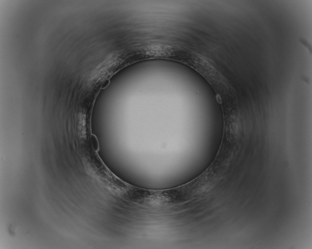 X0000103480696200809121650