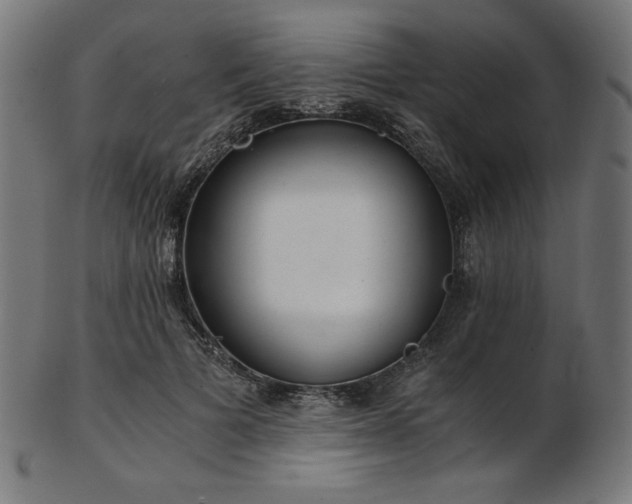 X0000103480697200809121650