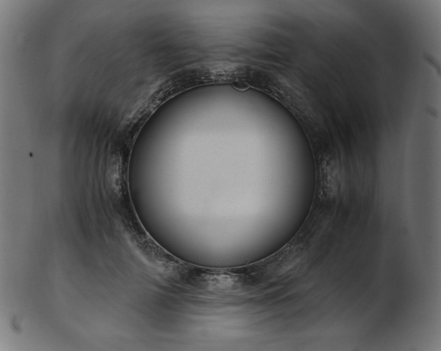 X0000103480698200809121650