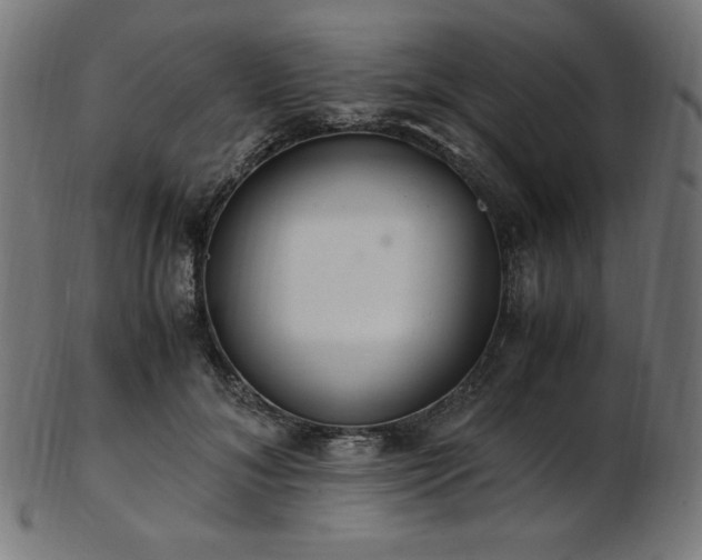 X0000103480700200809121650