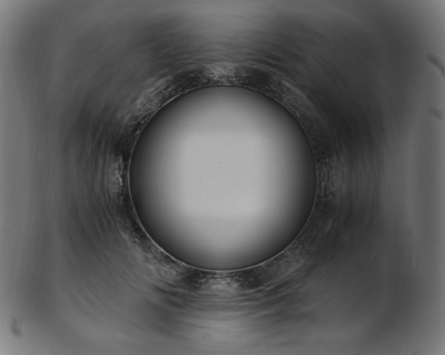 X0000103480702200809121650