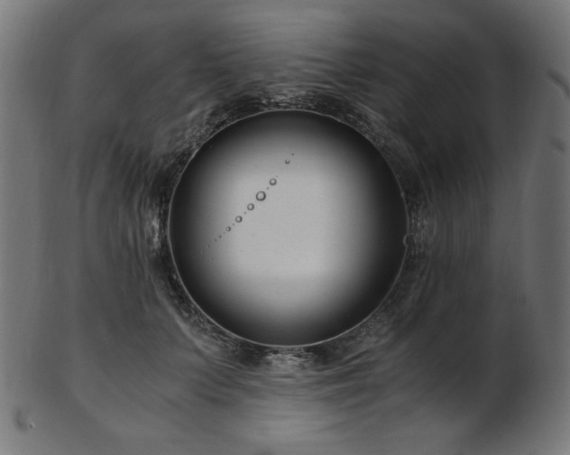X0000103480703200809121650