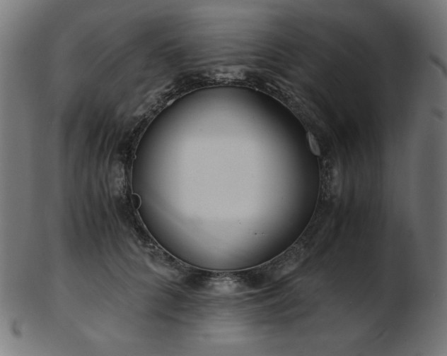 X0000103480704200809121650