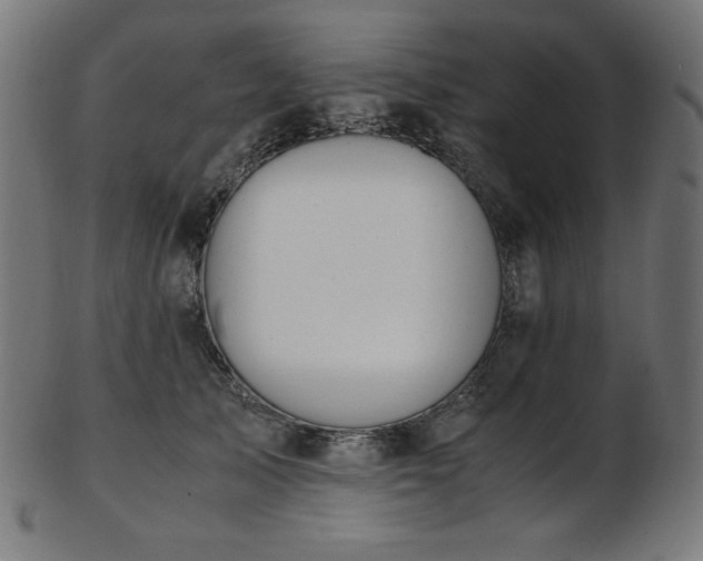 X0000103480705200809121650