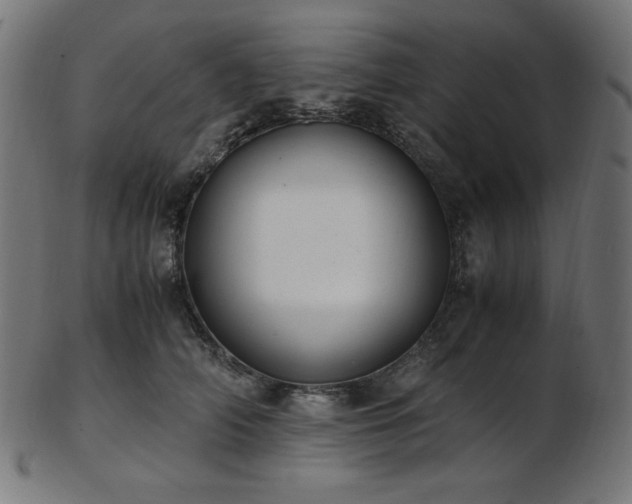 X0000103480706200809121650