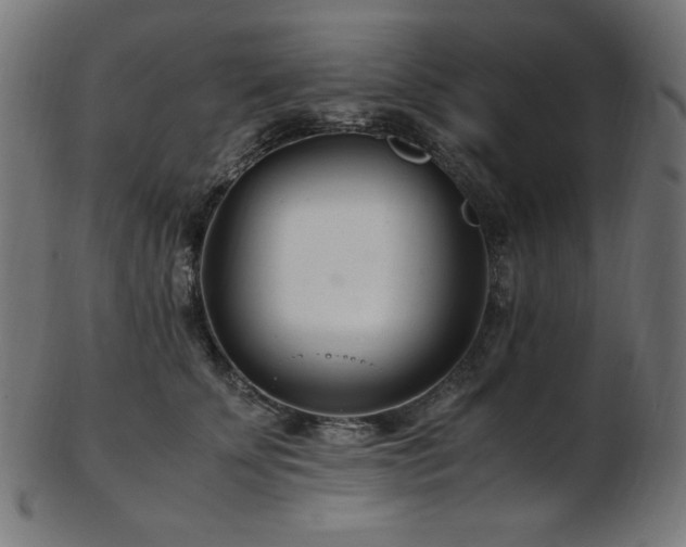 X0000103480707200809121650
