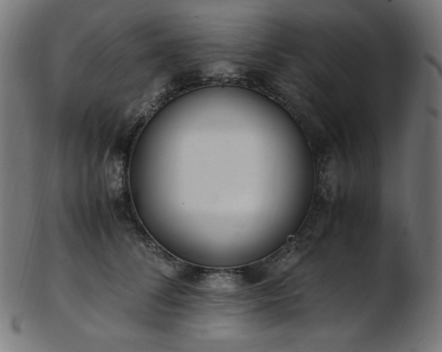 X0000103480708200809121650
