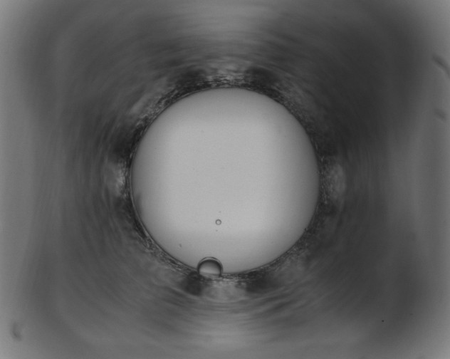 X0000103480709200809121650