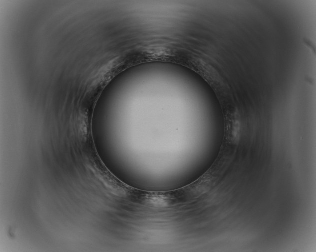 X0000103480710200809121650