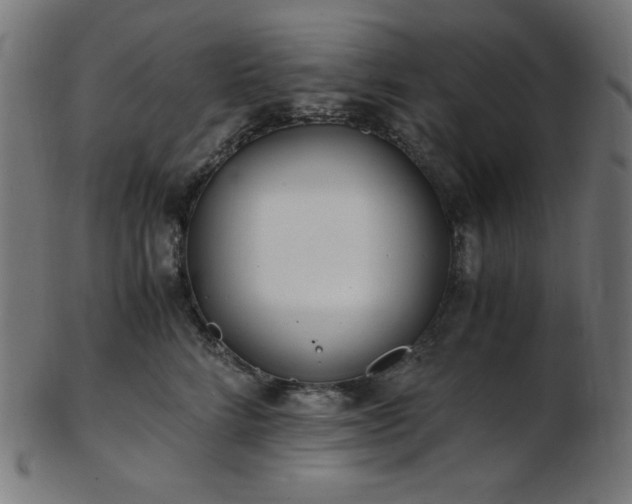 X0000103480712200809121650