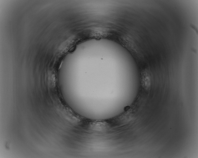 X0000103480716200809121650