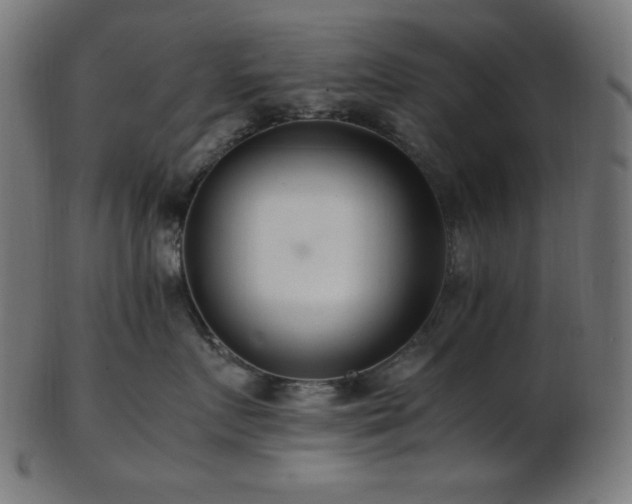 X0000103480719200809121650