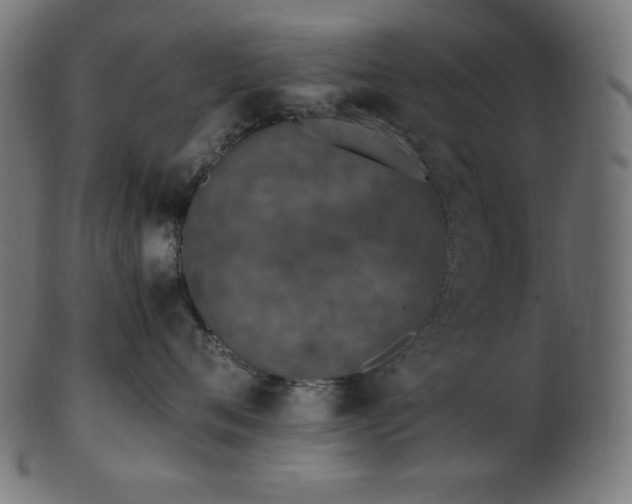 X0000103480720200809121650