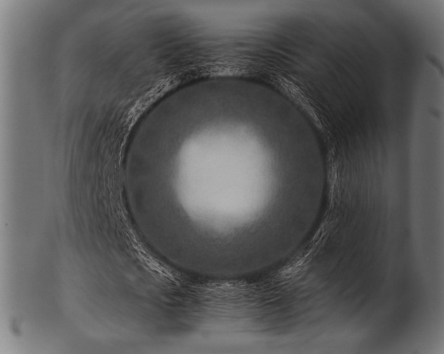X0000103480721200809121649