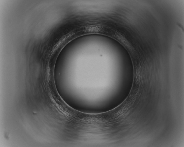 X0000103480722200809121649