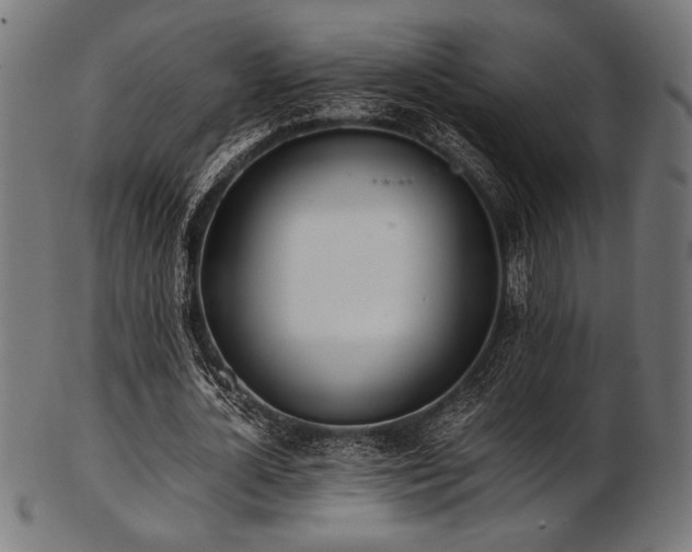 X0000103480724200809121649
