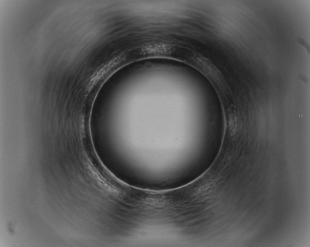 X0000103480725200809121649