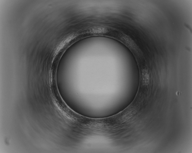 X0000103480726200809121649