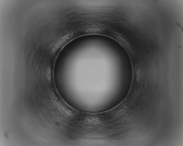 X0000103480729200809121649