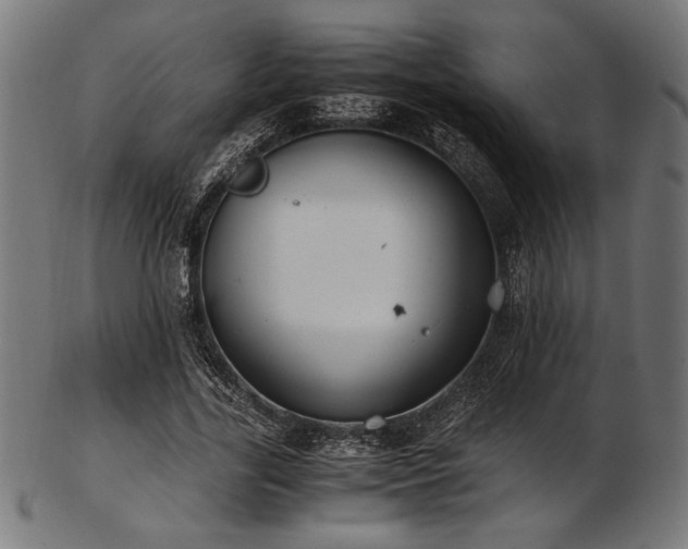 X0000103480731200809121649