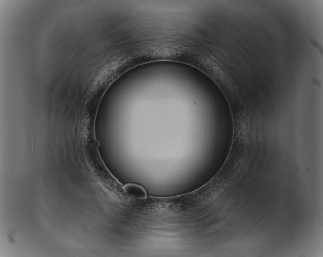 X0000103480736200809121649