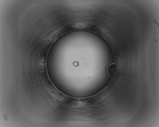 X0000103480737200809121649