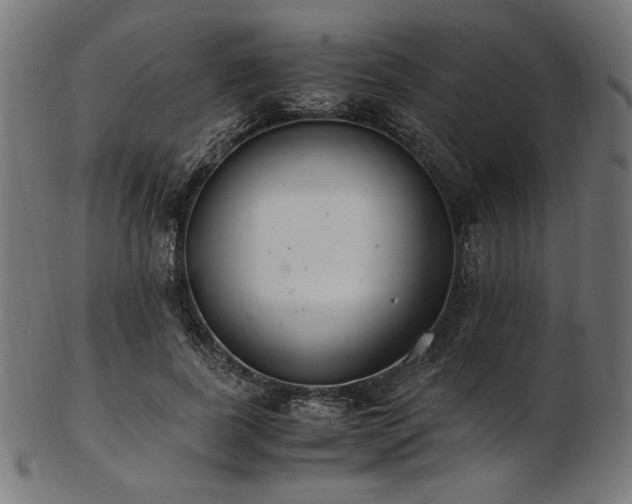 X0000103480739200809121649