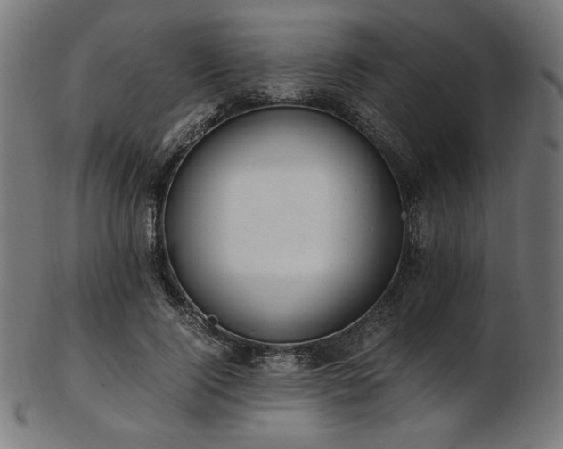 X0000103480740200809121649